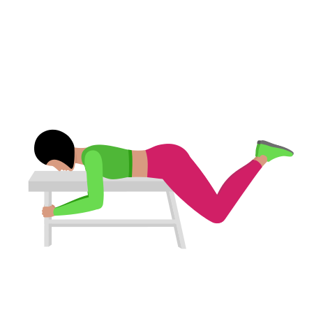 Reverse Hyperextension On Bench