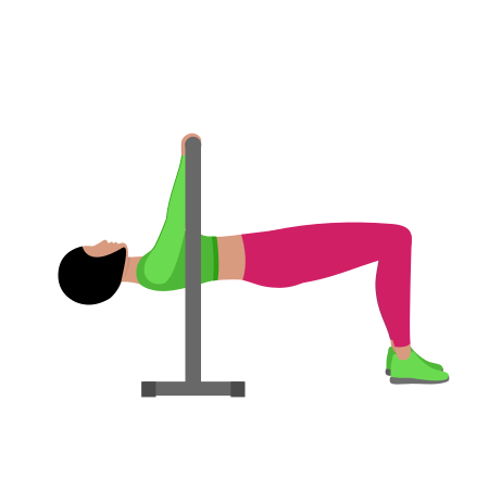 Inverted Row Bent Knee