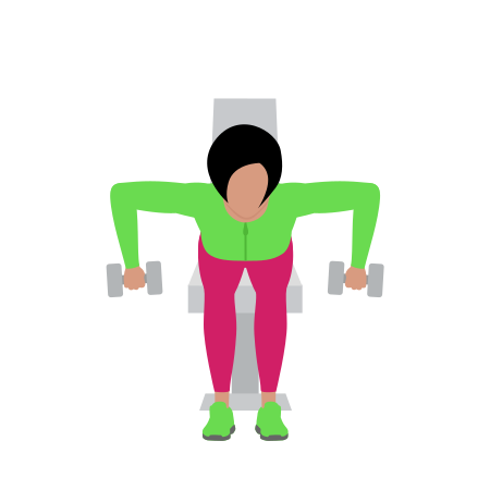 Dumbbell Seated Rear Delt Row