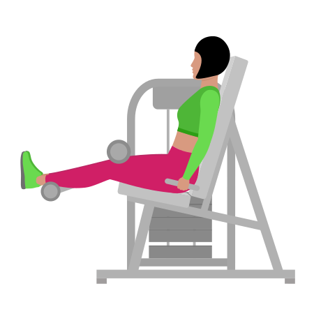 Lever Seated Leg Curl