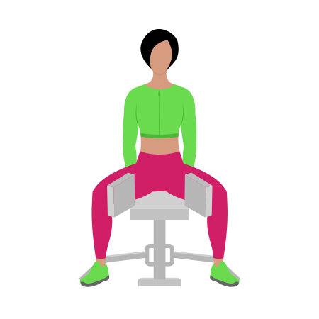 Seated Lever Hip Adduction